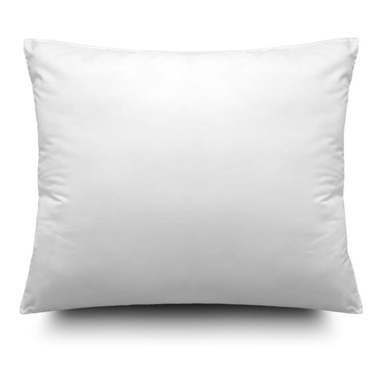 The-First-Pillow-2.png