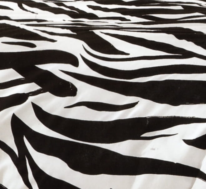 Obraz 12.07.2025, godz. 18.30.jpeg