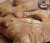 16765.webp