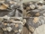 jesienna.webp